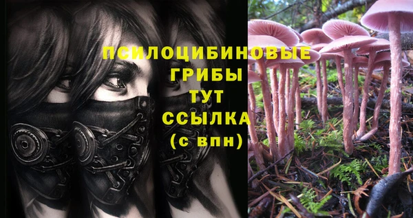 ешки Бугульма