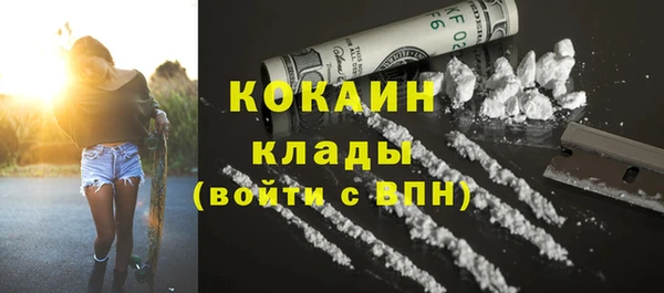 ПСИЛОЦИБИНОВЫЕ ГРИБЫ Бородино