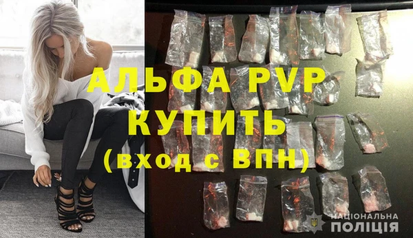 ПСИЛОЦИБИНОВЫЕ ГРИБЫ Бородино
