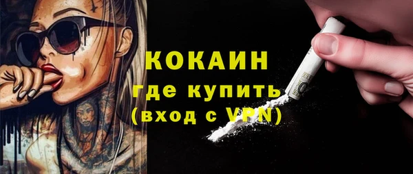ПСИЛОЦИБИНОВЫЕ ГРИБЫ Бородино