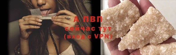 ПСИЛОЦИБИНОВЫЕ ГРИБЫ Бородино