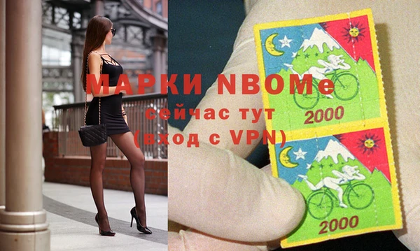 ПСИЛОЦИБИНОВЫЕ ГРИБЫ Бородино