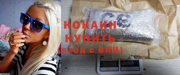 ПСИЛОЦИБИНОВЫЕ ГРИБЫ Бородино